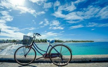 《慢慢来》读后感最新5篇