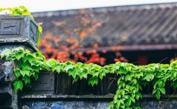 慢的读后感精选7篇