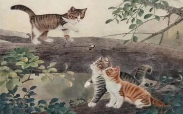 我的猫的作文300字最新6篇