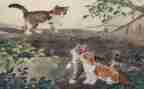 我的猫的作文300字最新6篇