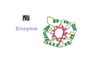 酶工程学习心得体会6篇