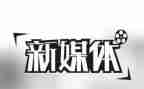 2024年媒体工作总结范文5篇