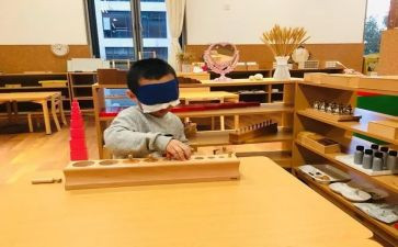 蒙氏幼儿园班级工作总结5篇