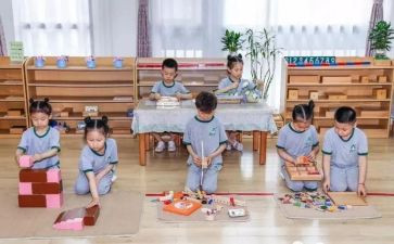 蒙氏学期主任工作计划参考7篇