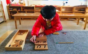 蒙氏小班幼儿工作计划模板5篇