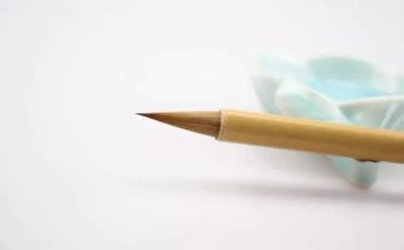 篮球迷作文优秀8篇