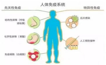 规划免疫的工作计划6篇