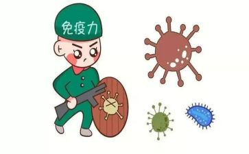 免疫的自我鉴定5篇
