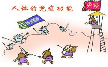 计划免疫半年总结8篇