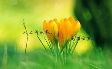 名人传心得体会300字6篇