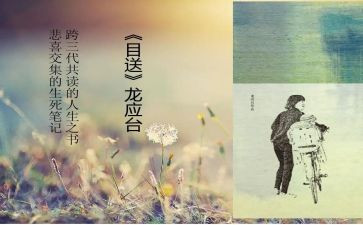 目送的读后感500字6篇