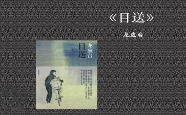 目送的心得体会7篇