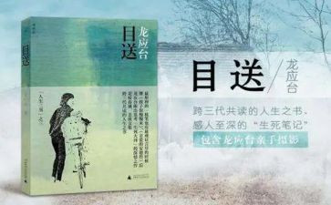 《目送》的读后感7篇