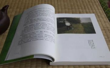 《目送》目送读后感7篇