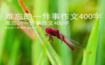 暑假里难忘的一件事作文6篇