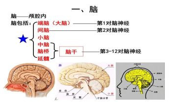 电脑模板采购合同8篇