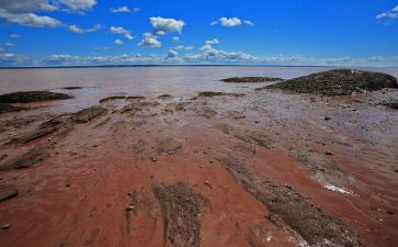 美术泥玩具教案8篇