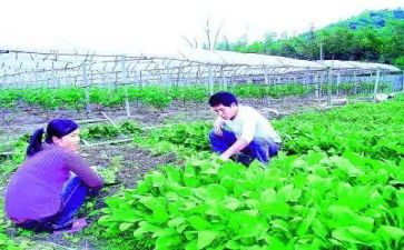 农技人员总结个人总结6篇