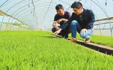 2024年农技人员培训心得体会8篇