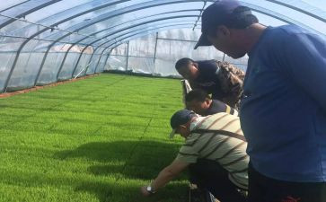 助理农艺师工作总结8篇