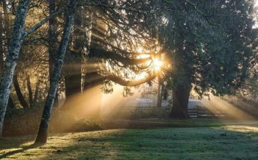 温暖的鞋作文参考8篇