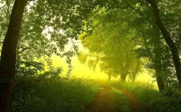 诺言作文600字5篇