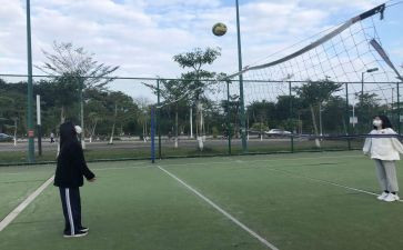 女排心得体会6篇