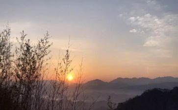 盼新年作文800字最新8篇