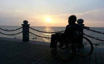 有狗陪伴的日子作文600字5篇