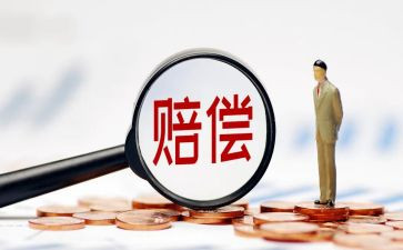 申请赔偿申请书优秀6篇