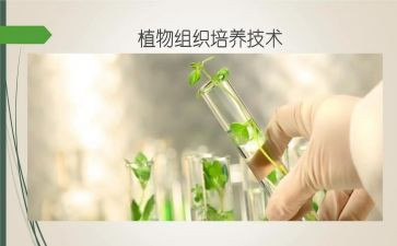 幼儿园双培养工作总结5篇