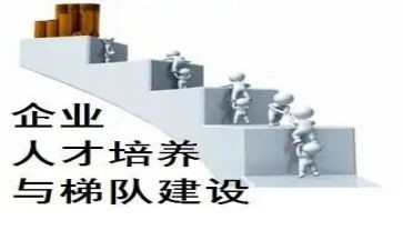 培养青年教师工作报告6篇