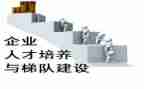 培养青年教师工作报告6篇