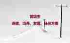 培养健康心得体会8篇