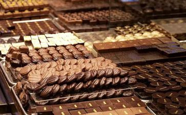 《巧克力工厂》读后感通用7篇