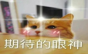 期待类作文精选8篇