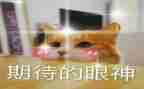 期待类作文精选8篇