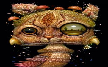 奇幻类的作文5篇