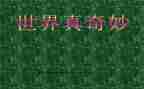 奇妙国读后感8篇