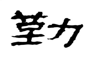 保险公司内勤会心得体会7篇