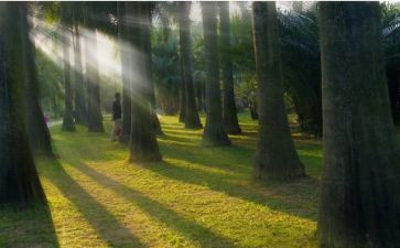 校园清晨的作文5篇