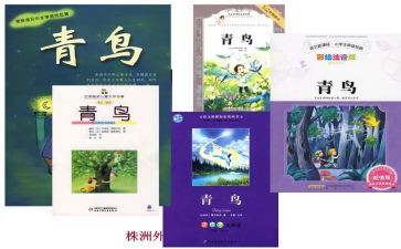 关于青鸟的读后感7篇