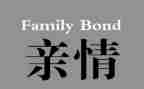 关于亲情的作文精选范文8篇