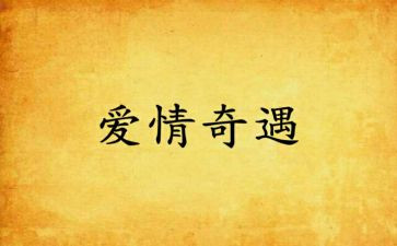 小布头奇遇记读后感8篇