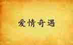 小布头奇遇记读后感8篇