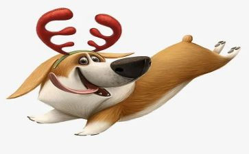 《警犬拉拉》读后感7篇