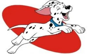 犬日常护理心得体会7篇