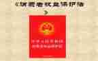 315消费者权益保护宣传活动总结5篇