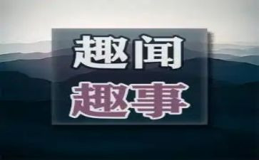春节趣事作文高中作文7篇