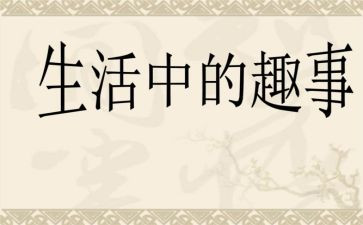 春节趣事作文600字8篇
